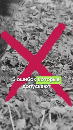 НЕЛЬЗЯ делать эти ОШИБКИ в САДУ!