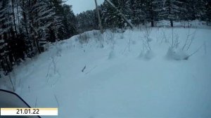 одиночная покатушка по лесу, на снегоходе брп