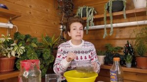 Как сеять лаванду на снег