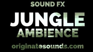 SOUND FX - JUNGLE AMBIENCE (High Quality)