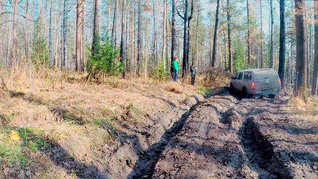 верблюд 2015 смотреть онлайн