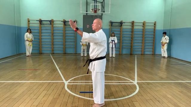 Кёкусинкай. Тренировка сборной Мурманской обл. по ката