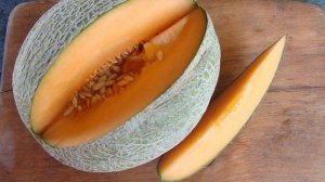 Сорта дынь и их главные особенности, которые помогут выбрать самую вкусную
