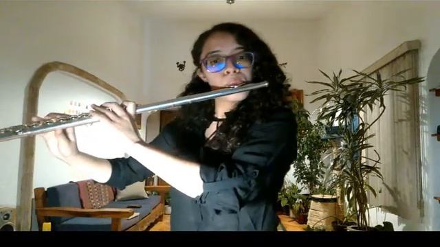 Bad Romance cover flute смотреть онлайн