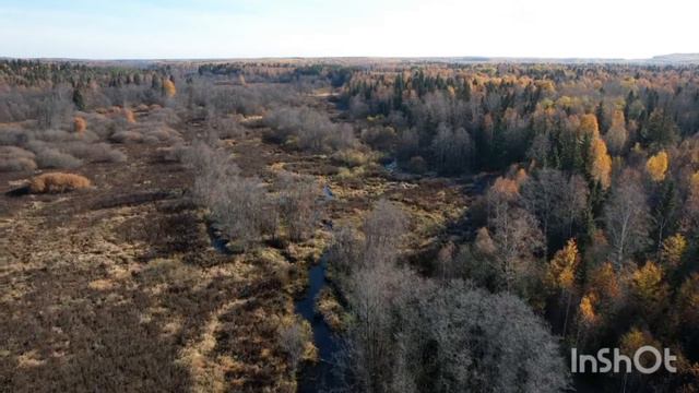 осень р. Позимь смотреть онлайн