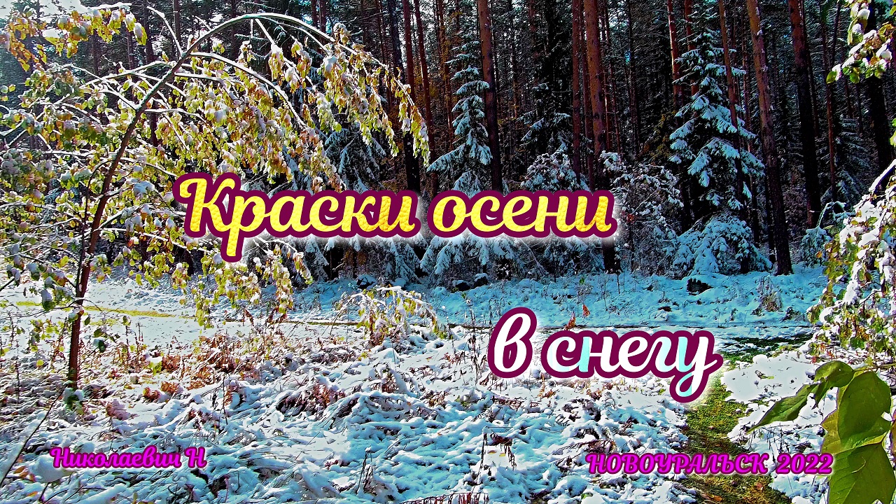 Краски осени в снегу - гора Трубная