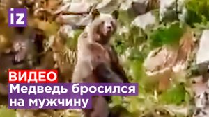 Жуткие кадры нападения медведя на человека в Красноярском крае / Известия