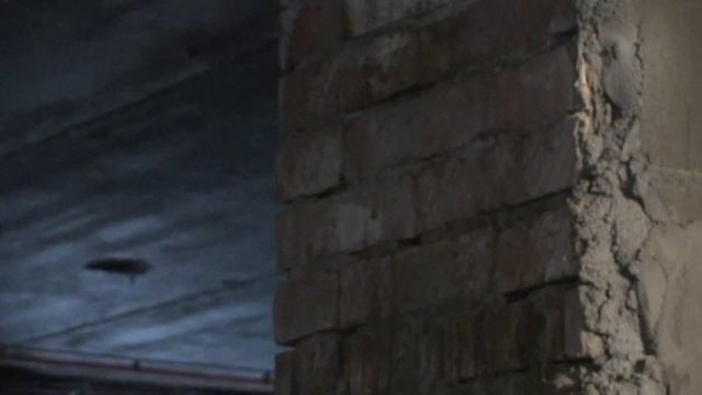Штукатурка подвала, толстый слой штукатурки по адгезионному обрызгу