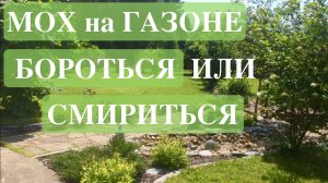 МОХ НА ГАЗОНЕ. БОРОТЬСЯ ИЛИ СМИРИТЬСЯ. Moss on the lawn. Landscape design. ДАЧНЫЙ КРЕАТИВ.
