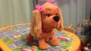 Обзор  Интерактивной собаки