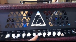 TEP'S AMPS "Hairy Harry" - Normal mode - Langner DCP-1 clone