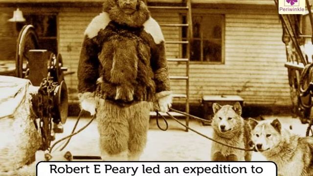 Animals Used for Transport | Environmental Studies Grade 4 | Periwinkle смотреть онлайн