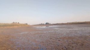 Ловлю рыбу руками.