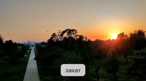 Какой самый лучший пляж в Дубае? Пляжный парк Аль-Мамзар!