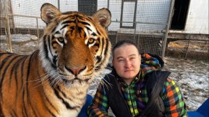 Тигра нельзя заводить в дом - он будет таскать Диван ☝️