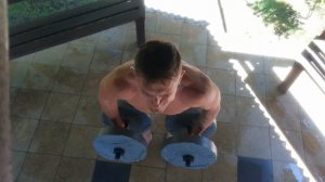 подъём на бицепс гантели по 20кг