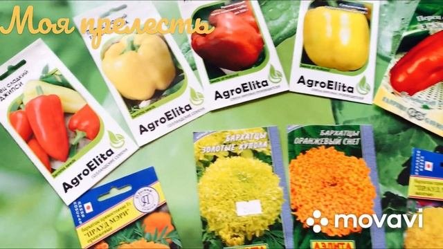 ЛУЧШИЕ УРОЖАЙНЫЕ ТОМАТЫ , ОГУРЦЫ , ПЕРЦЫ НА УРАЛЕ  - РЕКОМЕНДУЮ ! МОЙ ОПЫТ !#семенатоматов#томатура
