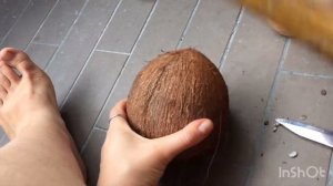 Как открыть кокос легко - 3 простых шага. Инструкция - лайфхак из кругоСветки
