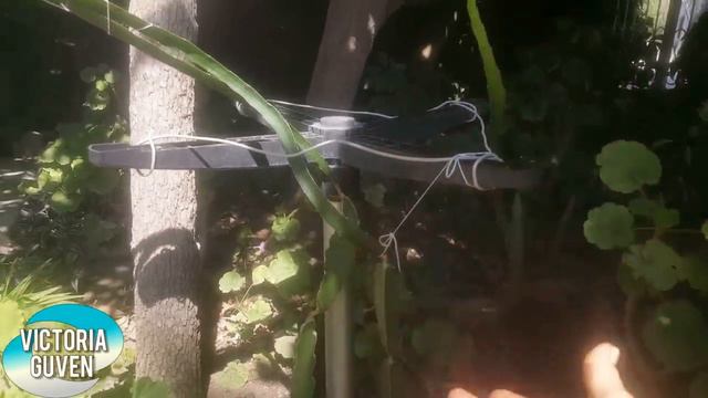 Прошлая жизнь в Турции Vlog 20