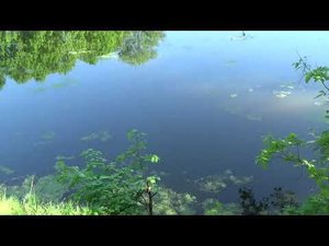 Лесной дом   Beethoven  Die weihe des Hauses  OР 124 , 68