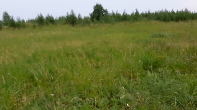 Купил поле не глядя, ничего хорошего смотреть онлайн