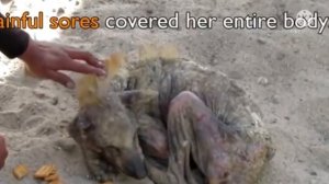 У собаки, которая уже не могла ходить, потекли слезы при виде спасателей…