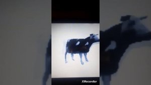 песня про анонас танцует польская корова