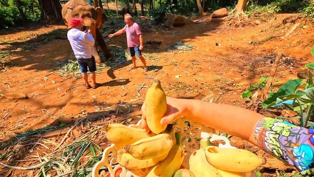Приключение Марка А4 на водопаде в Тайланде | Слоны и слоники на Тайской ферме смотреть онлайн