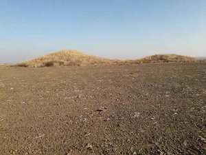 Скифские курганы и их ограбление !