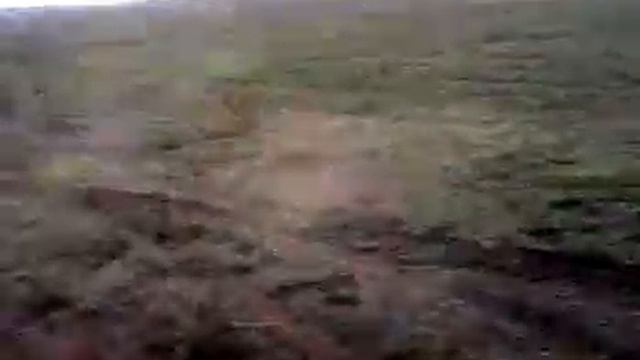 Уборка подсолнуха 2012 смотреть онлайн