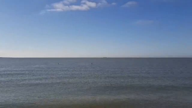 Ейск.? 19 января. Ловим рыбку, не клюет))) смотреть онлайн