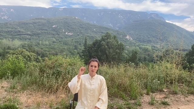 Тайцзи и Медитация. Упражнение. Шаолинь и Удан. Теория и практика. смотреть онлайн