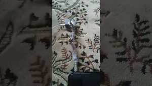 Необычный Переходник для Наушников на джеке 3,5