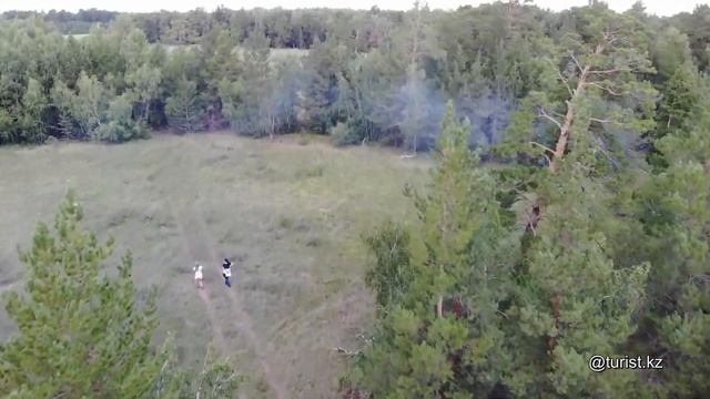 Смешанный лес смотреть онлайн