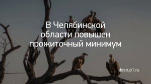 Заголовок дня: "Хватит думать, что Раки семьянины, а Овны ..." и другие важные новости за 2020-08-1