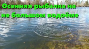 Осенняя рыбалка на не большом водоеме. Rapala X-Rap 100 SP