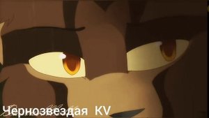 Коты воители. Клип-Я стала сильнее.