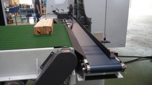 Устройство автоматической подачи пиломатериала в станок от компании Leadermac серии  FEEDMAC 04