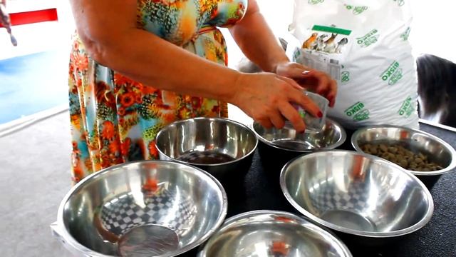 Дог Шоу + Биско m2t смотреть онлайн