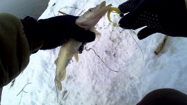 Грибаново отрыв по щурогайкам/в конце видео отчет с оз Султан!!! От друга Александра
