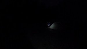 Поход с ночевкой на АЖЕК | Там есть медведи?!