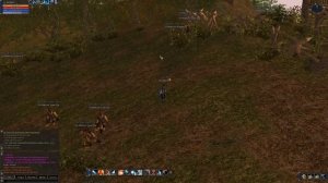 Гайд по прокачке Lineage 2 C4 x1