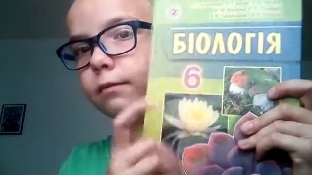 Мои книги смотреть онлайн