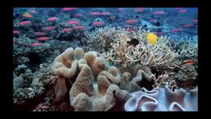 2 сборник свежих футажей о море 2020,морской фон для видео, футаж, интро без слов