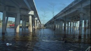 Всё об Америке «Флорида» (документальный сериал, 2003-2007)