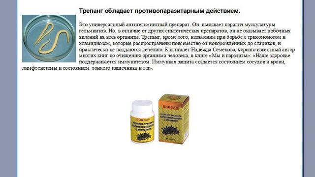 Трепанг при хронических заболеваниях. Отзывы и результаты. смотреть онлайн