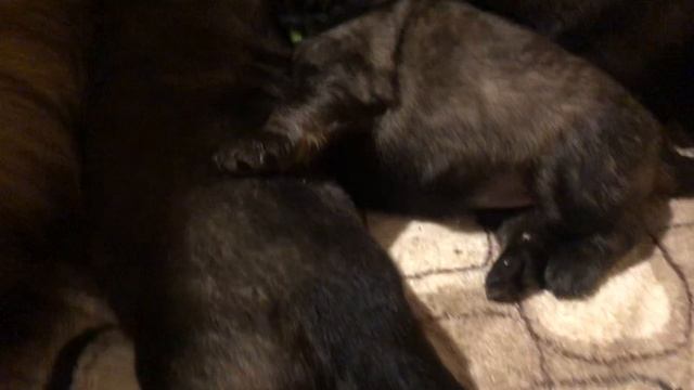 20 октября 2023 г. смотреть онлайн