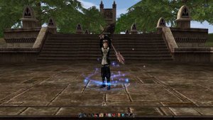 Use skills Sorcerer | Archmage [Lineage II - Interlude]
