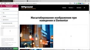 Масштабирование изображений при наведении в Elementor для WordPress