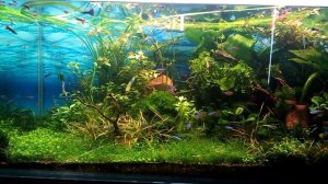 Природный аквариум Орёл